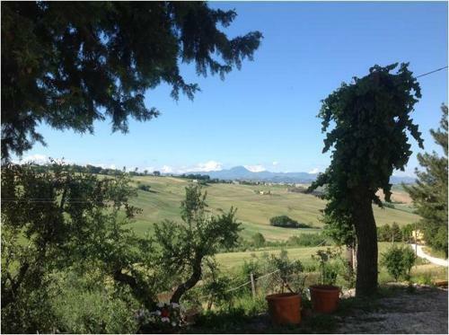 Agroturismo All'ombra Degli Ulivi B&B