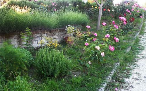 Agroturismo All'ombra Degli Ulivi B&B