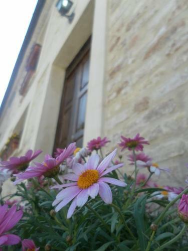 Agroturismo All'ombra Degli Ulivi B&B