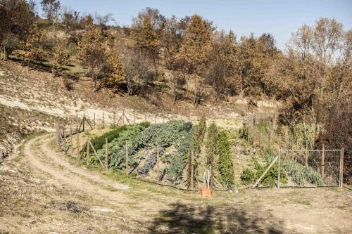 Agroturismo Azienda Agrituristica Alcastl�
