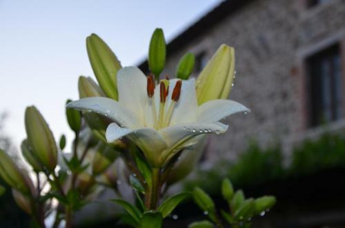 Agroturismo Agriturismo D' Epoca La Marianella