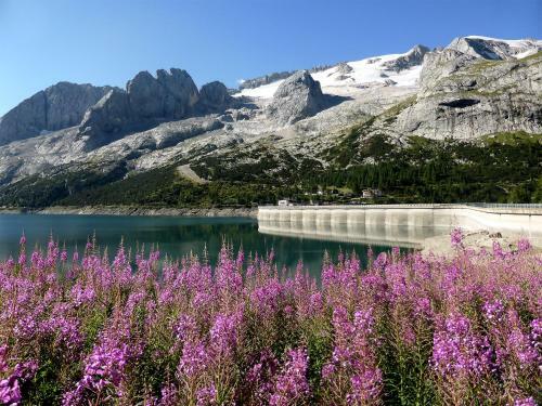 Hostal Rifugio Fedaia