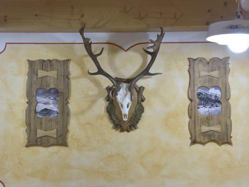 Hostal Rifugio Fedaia