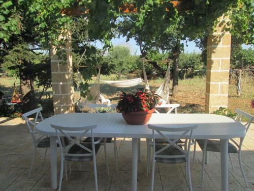 Agroturismo Il Giardino Dei Ciliegi - Turi