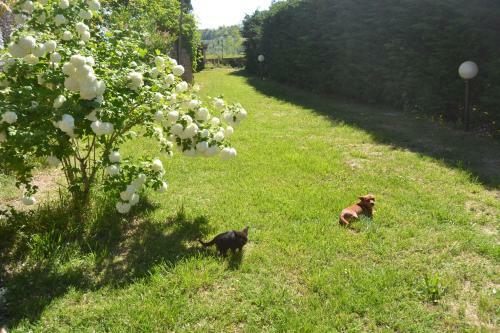 Apartamento Casa Vacanze E B & B Santa Caterina