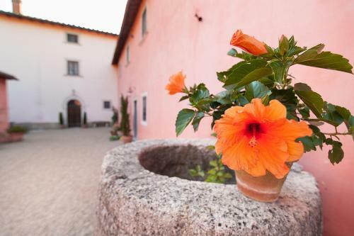 Apartamento Poggio A Sieve