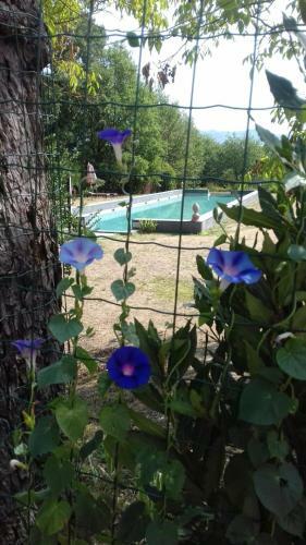 Apartamento Poggio A Sieve