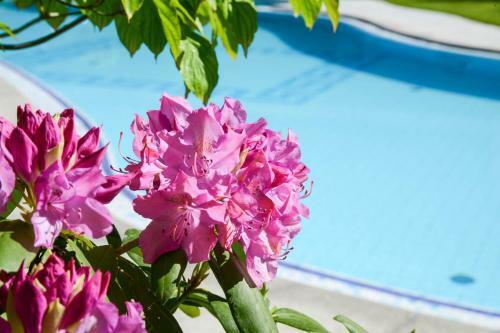 Hotel Garni G�nther