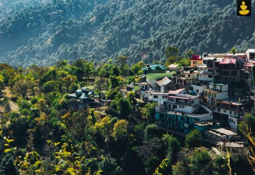 Hotel Livingstone 3bhk Cottage Kasauli