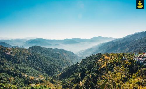 Hotel Livingstone 3bhk Cottage Kasauli
