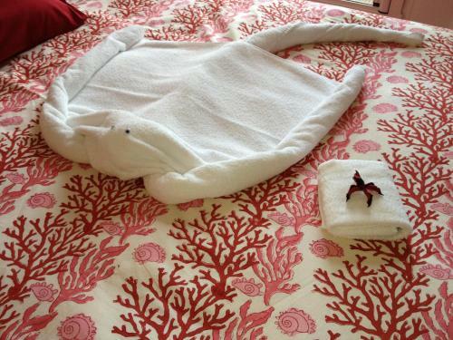 Al Volo B&B