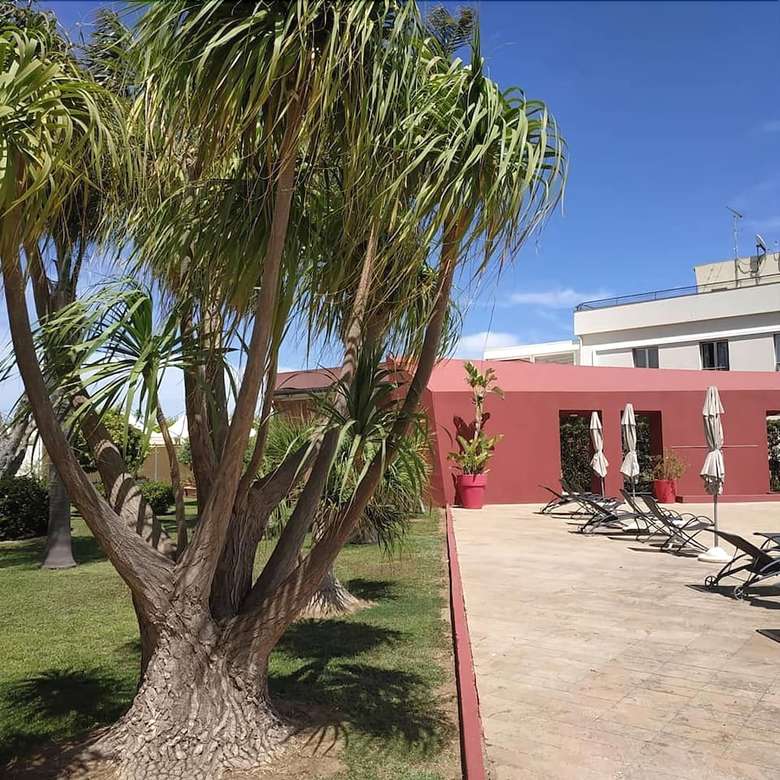 Albatros Hotel