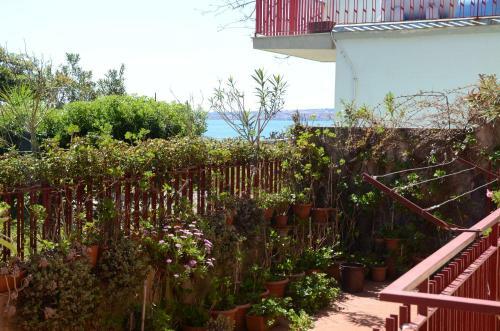 Apartamento Casa Susanna