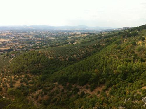 Agroturismo Agriturismo Villa Gabbiano