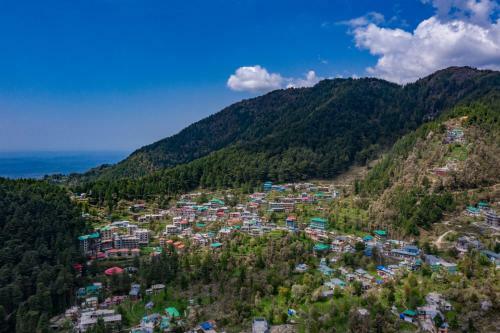 Albergue Alt Life - Dharamkot (Mcleodganj)