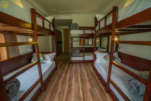 Albergue Alt Life - Manali