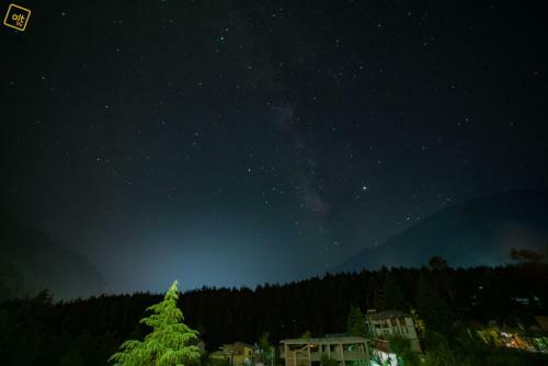 Albergue Alt Life - Manali