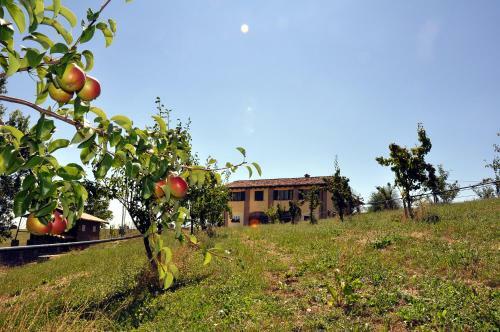 B&B Frutti Antichi