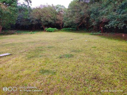 Hotel Kathiyawadi Gujarati Park View Matheran