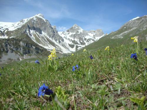 Bed & Breakfast Barba Bertu