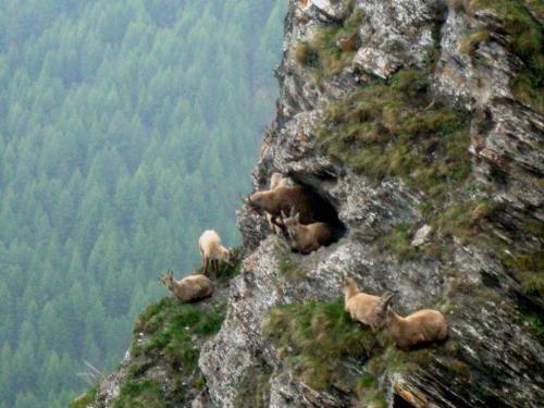 Bed & Breakfast Barba Bertu