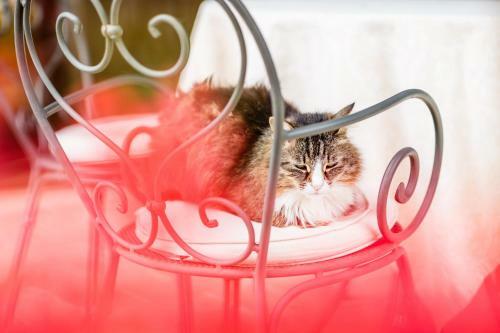 Apartamento Poggio Antico