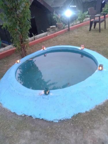 Greenlust Camps & Resorts