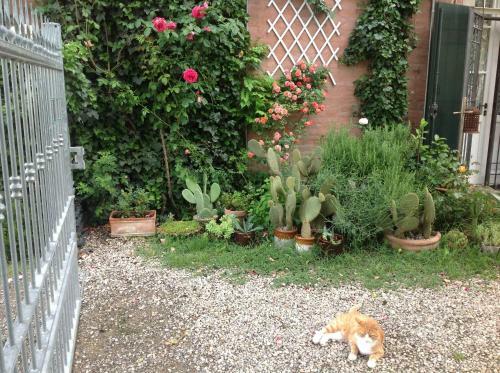 Bed & Breakfast Al Porretto
