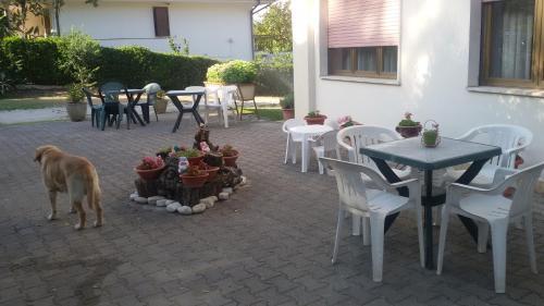 Hotel Le Vigne