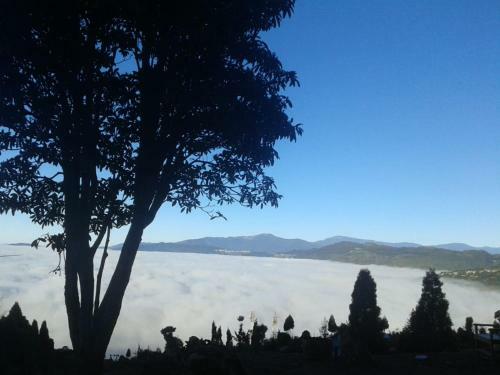 Hotel Vamoose Kunga Delek