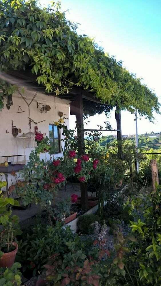 Bed & Breakfast Il Grappolo
