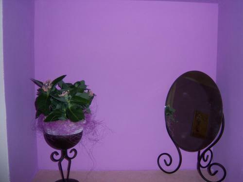 B&B Corte Barbieri