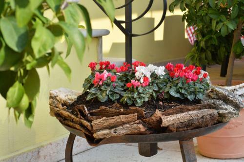 B&B Corte Barbieri