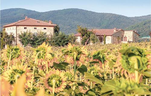 Apartamento Tulipano A