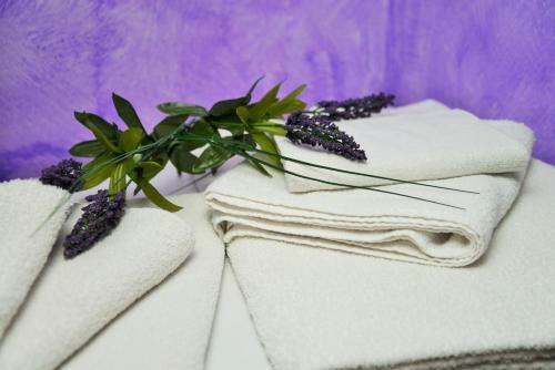 Bed & Breakfast Alla Quercia