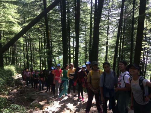 Triund Terrestrial Adventure
