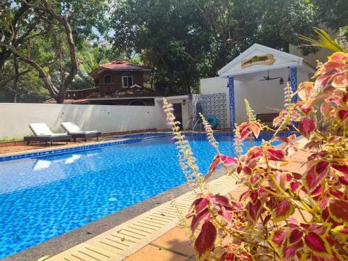 Hotel G G Resorts