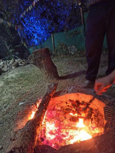 Peppy Nomads Homestay