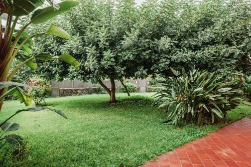 Apartamento Appartamento Primavera