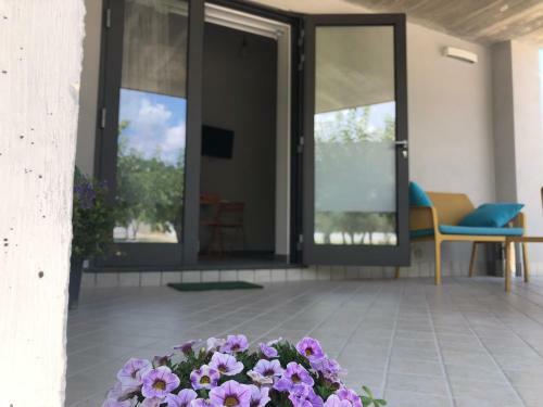 Agroturismo Il Platano Residenza Rurale