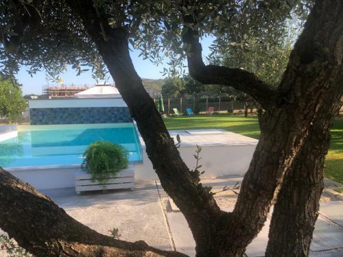 Agroturismo Il Platano Residenza Rurale