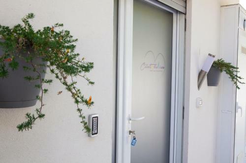 Cilento D'amare B&B