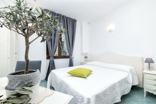 Bed & Breakfast O'lattariello