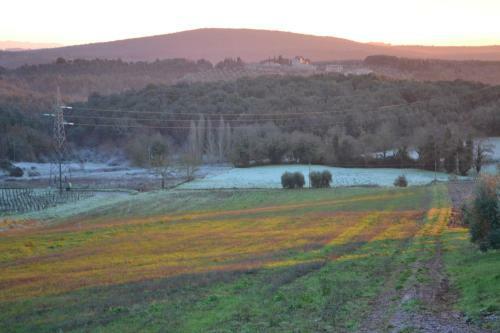 Hostal Podere Ficareto Farm