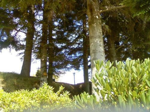 Hostal Affittacamere Le Meridiane