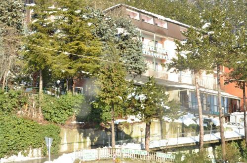 Hotel Pineta