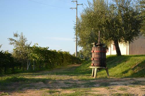 Agroturismo Agriturismo Casale Contessa
