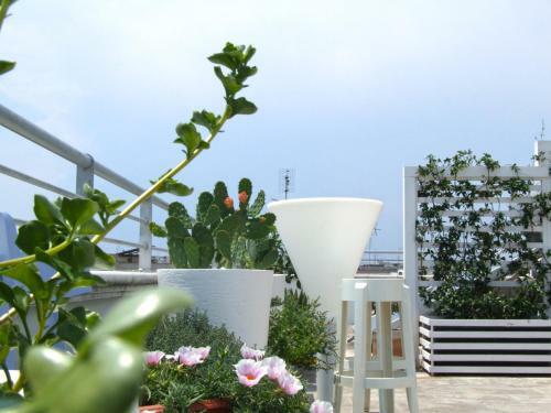 Hostal Luv� Affittacamere