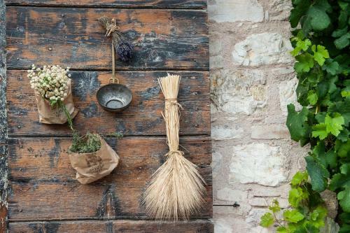 Agroturismo Borgo Antichi Orti Assisi