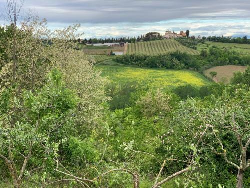 Bed & Breakfast La Volpaia